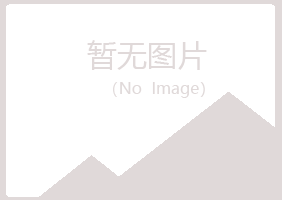 日照岚山倾城化学有限公司